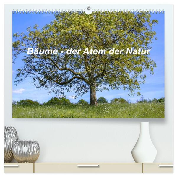 Bäume der Atem der Natur (hochwertiger Premium Wandkalender 2026 DIN A2 quer) Kunstdruck in Hochglanz