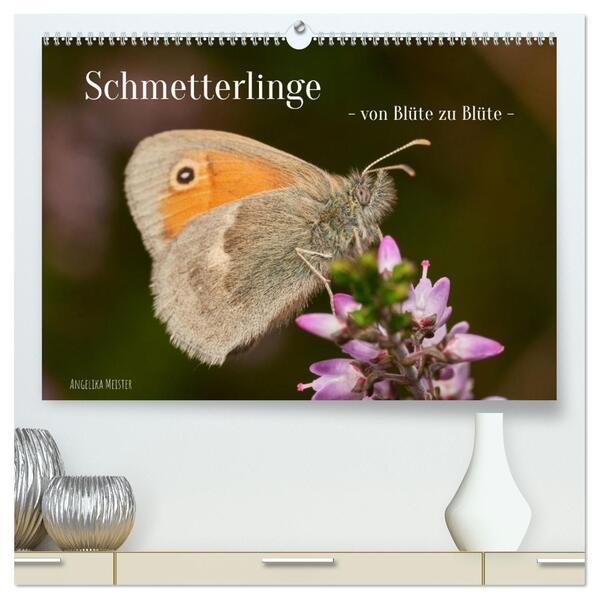 Schmetterlinge - von Blüte zu Blüte - (hochwertiger Premium Wandkalender 2026 DIN A2 quer) Kunstdruck in Hochglanz