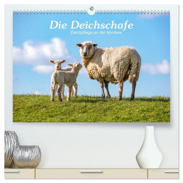 Die Deichschafe. Deichpflege an der Nordsee (hochwertiger Premium Wandkalender 2026 DIN A2 quer) Kunstdruck in Hochglanz