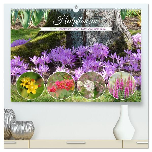 Heilpflanzen - Schätze im Garten (hochwertiger Premium Wandkalender 2026 DIN A2 quer) Kunstdruck in Hochglanz
