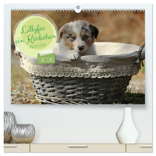 Lillyfee und ein Körbchen voller Glück (hochwertiger Premium Wandkalender 2026 DIN A2 quer) Kunstdruck in Hochglanz