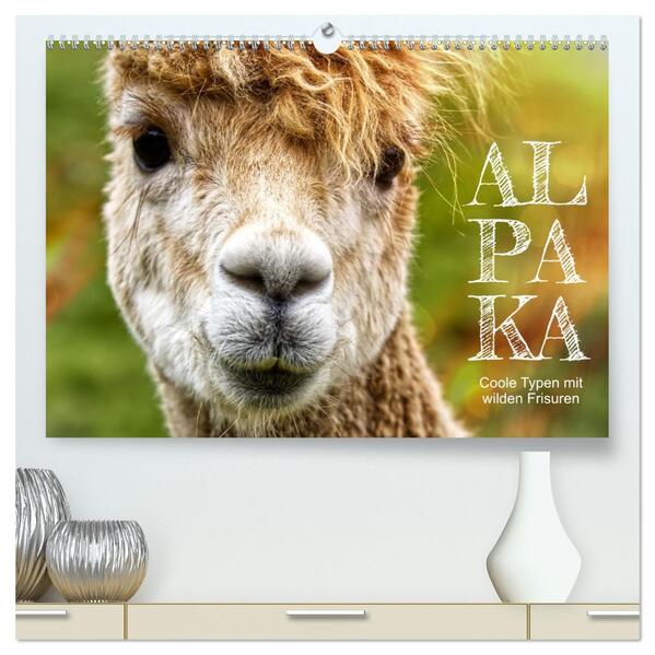 Alpaka coole Typen mit wilden Frisuren (hochwertiger Premium Wandkalender 2026 DIN A2 quer) Kunstdruck in Hochglanz