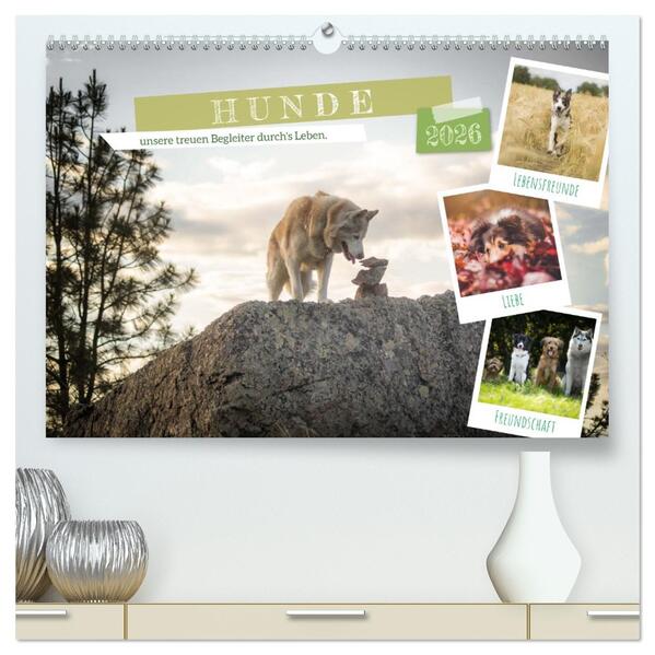 Hunde unsere treuen Begleiter durch's Leben. (hochwertiger Premium Wandkalender 2026 DIN A2 quer) Kunstdruck in Hochglanz