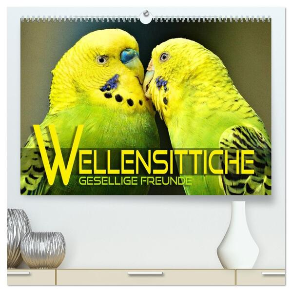 Wellensittiche - gesellige Freunde (hochwertiger Premium Wandkalender 2026 DIN A2 quer) Kunstdruck in Hochglanz