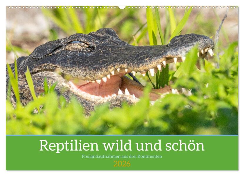 Reptilien wild und schön (Wandkalender 2026 DIN A2 quer) CALVENDO Monatskalender