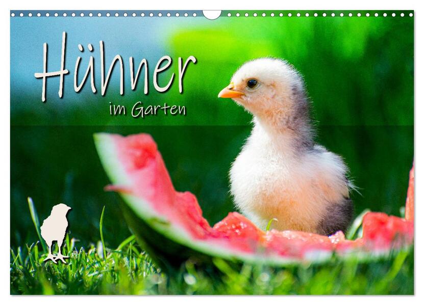 Hühner im Garten (Wandkalender 2026 DIN A3 quer) CALVENDO Monatskalender