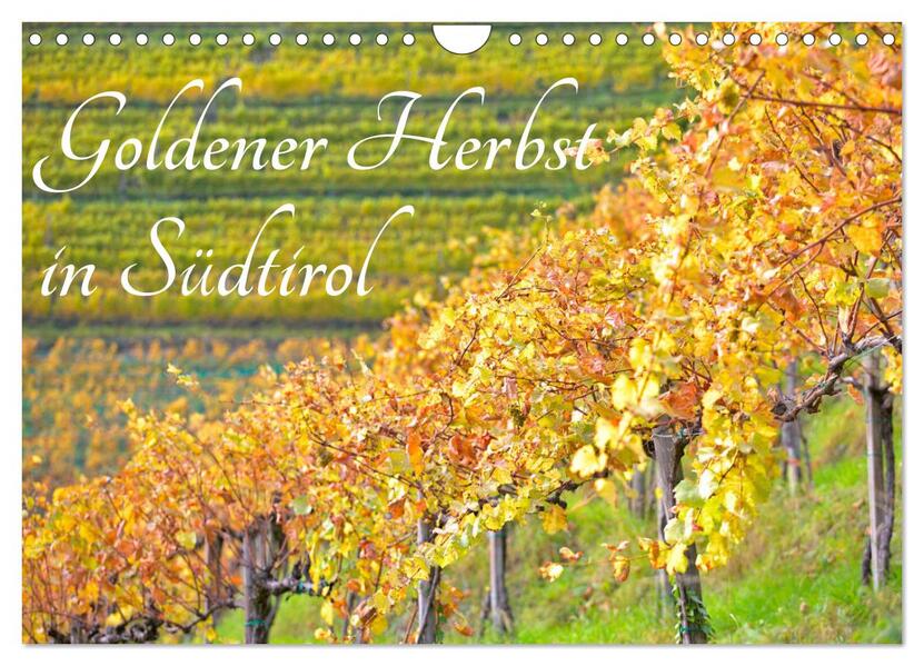 Goldener Herbst in Südtirol (Wandkalender 2026 DIN A4 quer) CALVENDO Monatskalender