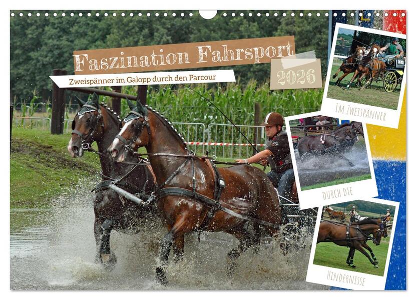 Faszination Fahrsport - Zweispänner im Galopp durch den Parcour (Wandkalender 2026 DIN A3 quer) CALVENDO Monatskalender