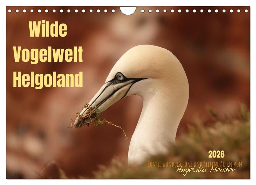 Wilde Vogelwelt Helgoland (Wandkalender 2026 DIN A4 quer) CALVENDO Monatskalender