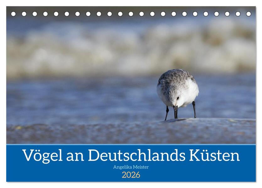Vögel an Deutschlands Küsten (Tischkalender 2026 DIN A5 quer) CALVENDO Monatskalender
