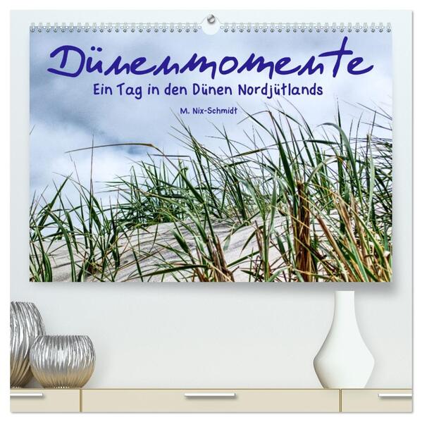 Dünenmomente - Ein Tag in den Dünen Nordjütlands (hochwertiger Premium Wandkalender 2026 DIN A2 quer) Kunstdruck in Hochglanz