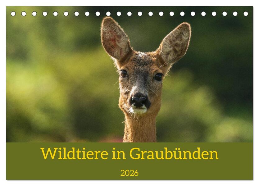 Wildtiere in Graubünden (Tischkalender 2026 DIN A5 quer) CALVENDO Monatskalender