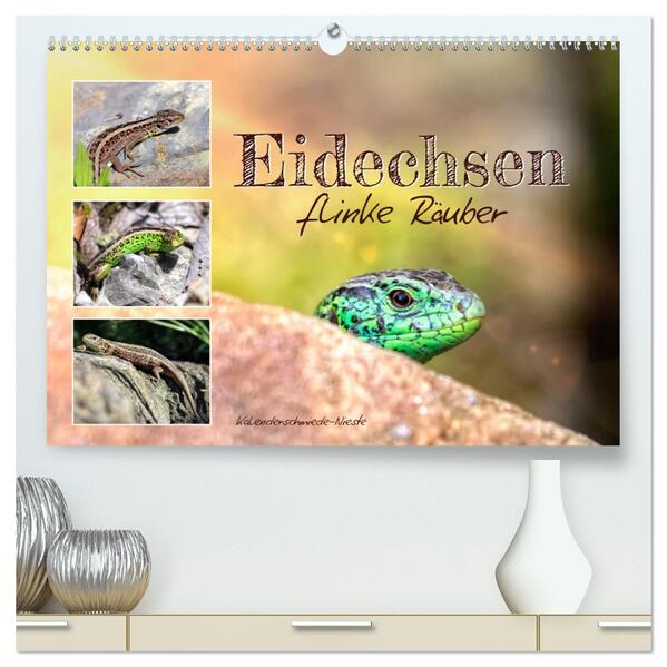 Eidechsen flinke Räuber (hochwertiger Premium Wandkalender 2026 DIN A2 quer) Kunstdruck in Hochglanz