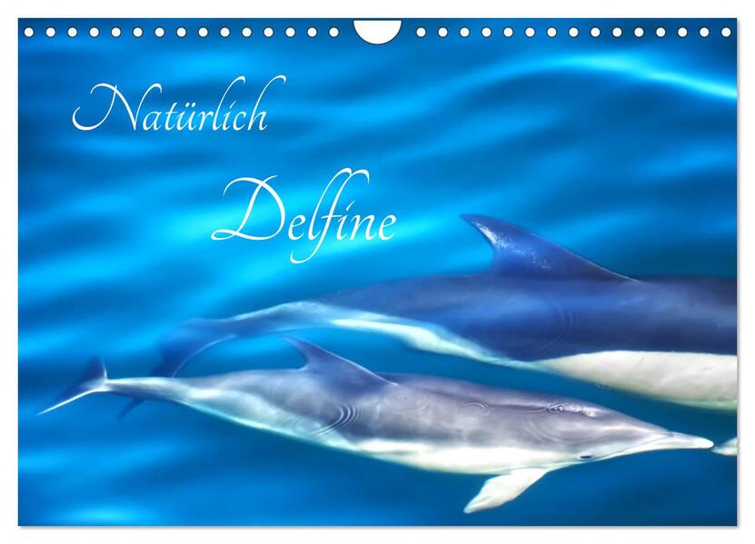 Natürlich Delfine (Wandkalender 2026 DIN A4 quer) CALVENDO Monatskalender