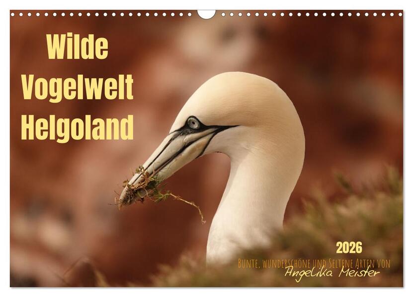 Wilde Vogelwelt Helgoland (Wandkalender 2026 DIN A3 quer) CALVENDO Monatskalender