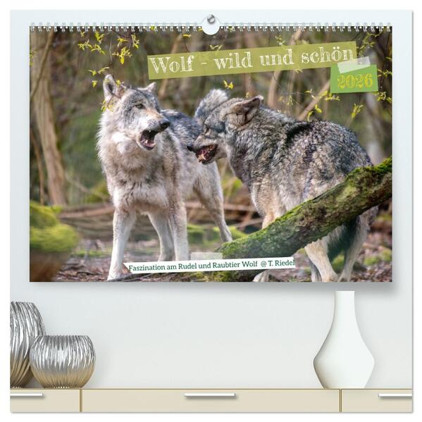 Wolf - wild und schön (hochwertiger Premium Wandkalender 2026 DIN A2 quer) Kunstdruck in Hochglanz