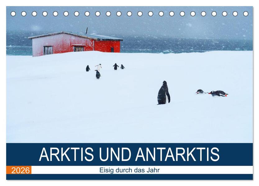 Arktis und Antarktis - Eisig durch das Jahr (Tischkalender 2026 DIN A5 quer) CALVENDO Monatskalender