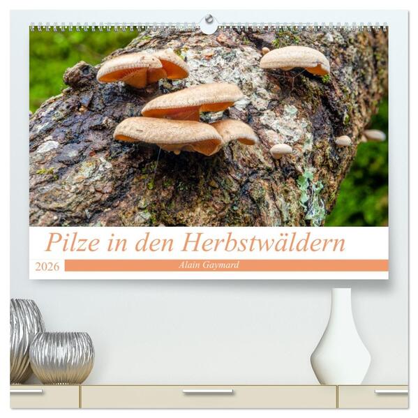 Pilze in den Herbstwäldern (hochwertiger Premium Wandkalender 2026 DIN A2 quer) Kunstdruck in Hochglanz