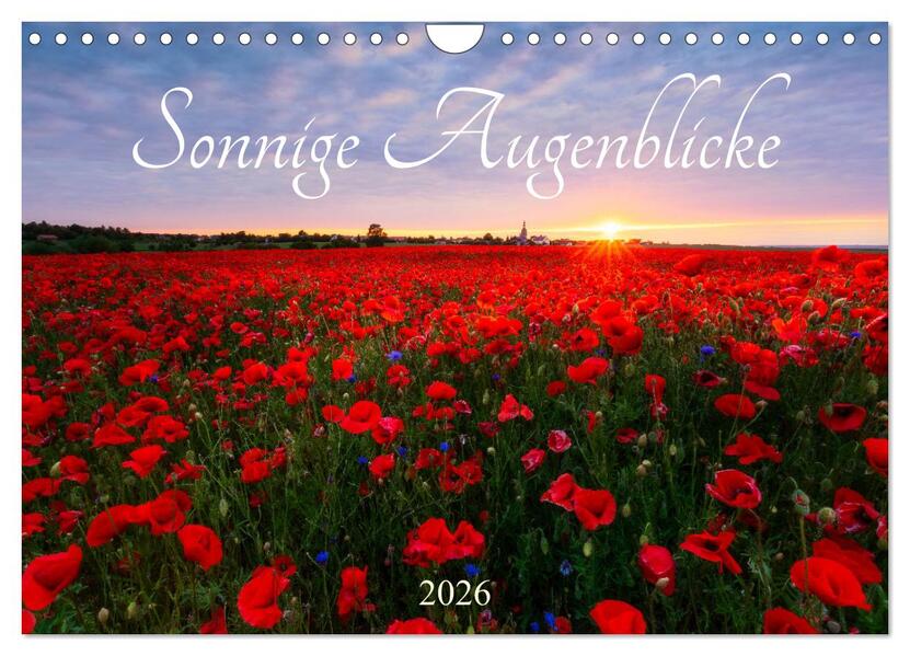 Sonnige Augenblicke (Wandkalender 2026 DIN A4 quer) CALVENDO Monatskalender