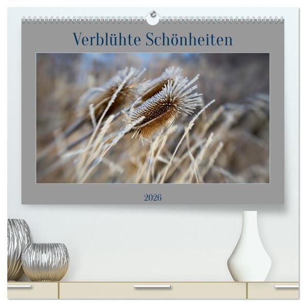 Verblühte Schönheiten (hochwertiger Premium Wandkalender 2026 DIN A2 quer) Kunstdruck in Hochglanz
