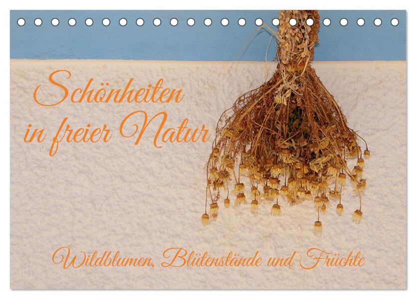 Schönheiten in freier Natur (Tischkalender 2026 DIN A5 quer) CALVENDO Monatskalender