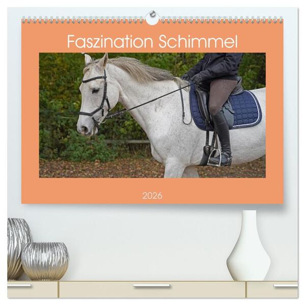 Faszination Schimmel (hochwertiger Premium Wandkalender 2026 DIN A2 quer) Kunstdruck in Hochglanz