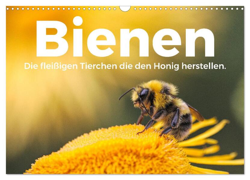 Bienen - Die fleißigen Tierchen die den Honig herstellen. (Wandkalender 2026 DIN A3 quer) CALVENDO Monatskalender