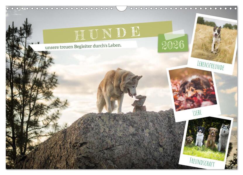 Hunde unsere treuen Begleiter durch's Leben. (Wandkalender 2026 DIN A3 quer) CALVENDO Monatskalender