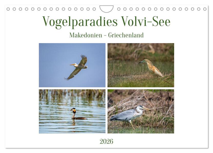 Vogelparadies Volvi-See (Wandkalender 2026 DIN A4 quer) CALVENDO Monatskalender