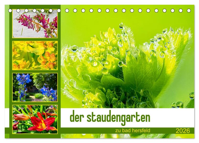 der staudengarten zu bad hersfeld (Tischkalender 2026 DIN A5 quer) CALVENDO Monatskalender