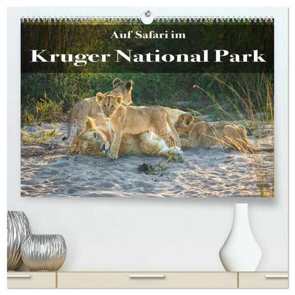 Auf Safari im Kruger National Park (hochwertiger Premium Wandkalender 2026 DIN A2 quer) Kunstdruck in Hochglanz
