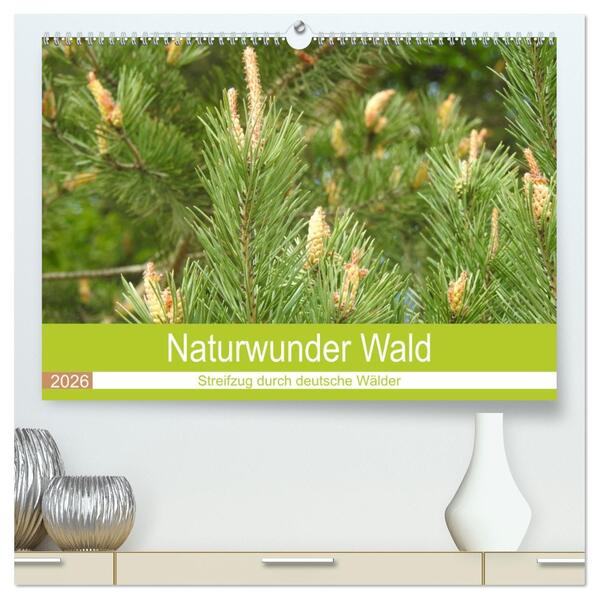 Naturwunder Wald (hochwertiger Premium Wandkalender 2026 DIN A2 quer) Kunstdruck in Hochglanz