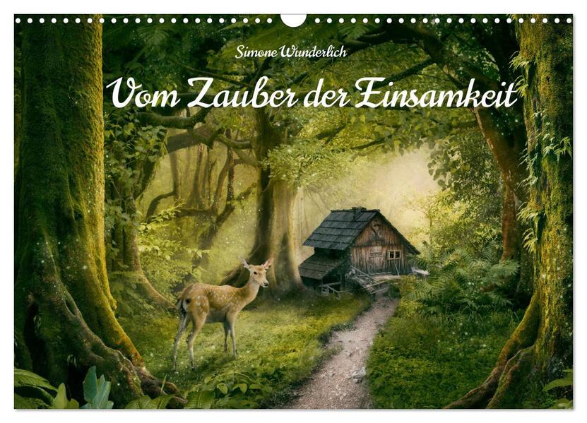 Vom Zauber der Einsamkeit (Wandkalender 2026 DIN A3 quer) CALVENDO Monatskalender