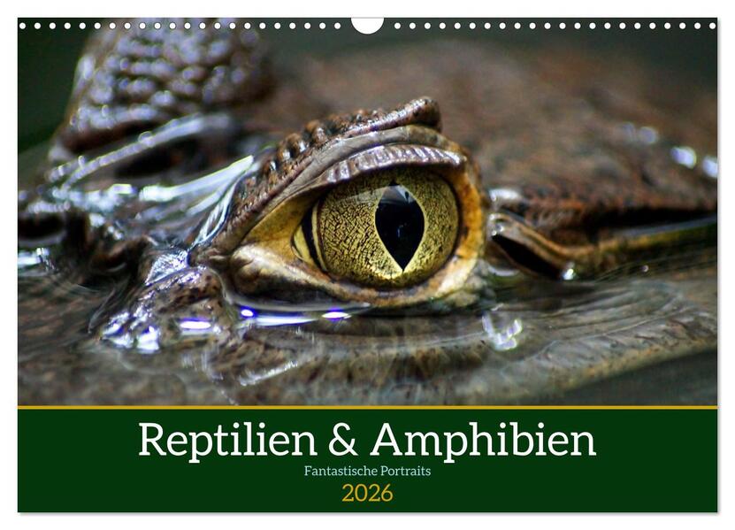 Reptilien & Amphibien Portraits (Wandkalender 2026 DIN A3 quer) CALVENDO Monatskalender
