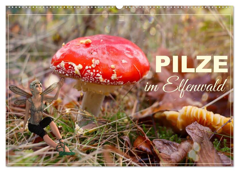 Pilze im Elfenwald (Wandkalender 2026 DIN A2 quer) CALVENDO Monatskalender