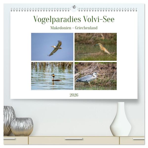 Vogelparadies Volvi-See (hochwertiger Premium Wandkalender 2026 DIN A2 quer) Kunstdruck in Hochglanz