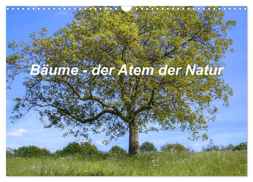 Bäume der Atem der Natur (Wandkalender 2026 DIN A3 quer) CALVENDO Monatskalender