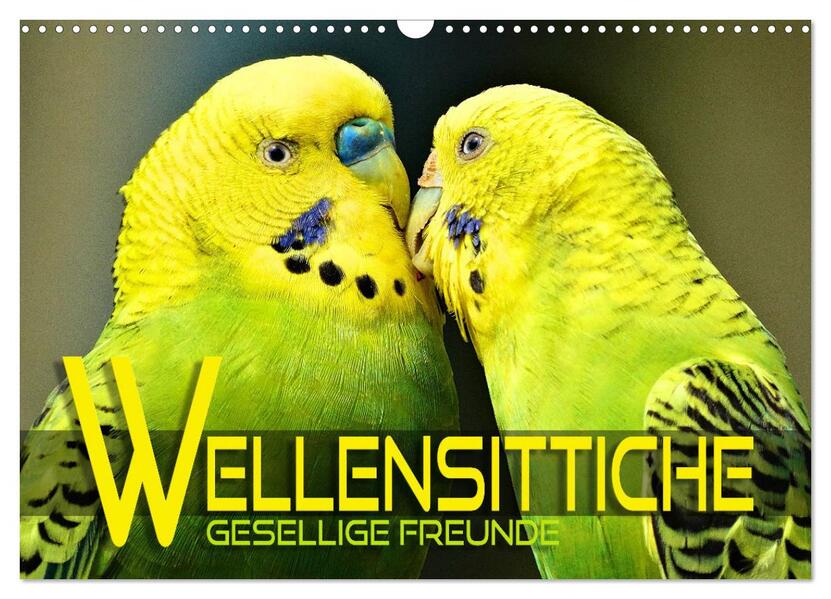 Wellensittiche - gesellige Freunde (Wandkalender 2026 DIN A3 quer) CALVENDO Monatskalender