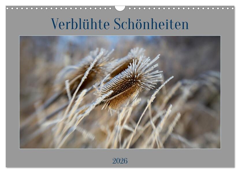 Verblühte Schönheiten (Wandkalender 2026 DIN A3 quer) CALVENDO Monatskalender