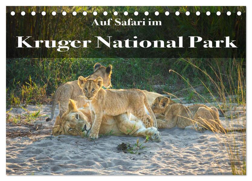 Auf Safari im Kruger National Park (Tischkalender 2026 DIN A5 quer) CALVENDO Monatskalender
