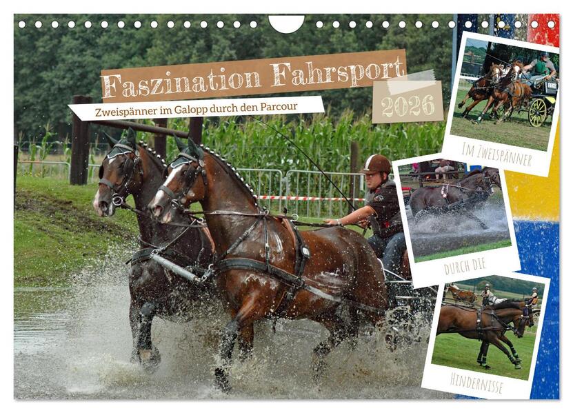 Faszination Fahrsport - Zweispänner im Galopp durch den Parcour (Wandkalender 2026 DIN A4 quer) CALVENDO Monatskalender
