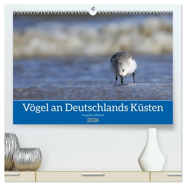 Vögel an Deutschlands Küsten (hochwertiger Premium Wandkalender 2026 DIN A2 quer) Kunstdruck in Hochglanz