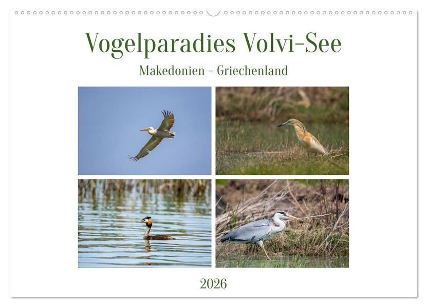 Vogelparadies Volvi-See (Wandkalender 2026 DIN A2 quer) CALVENDO Monatskalender