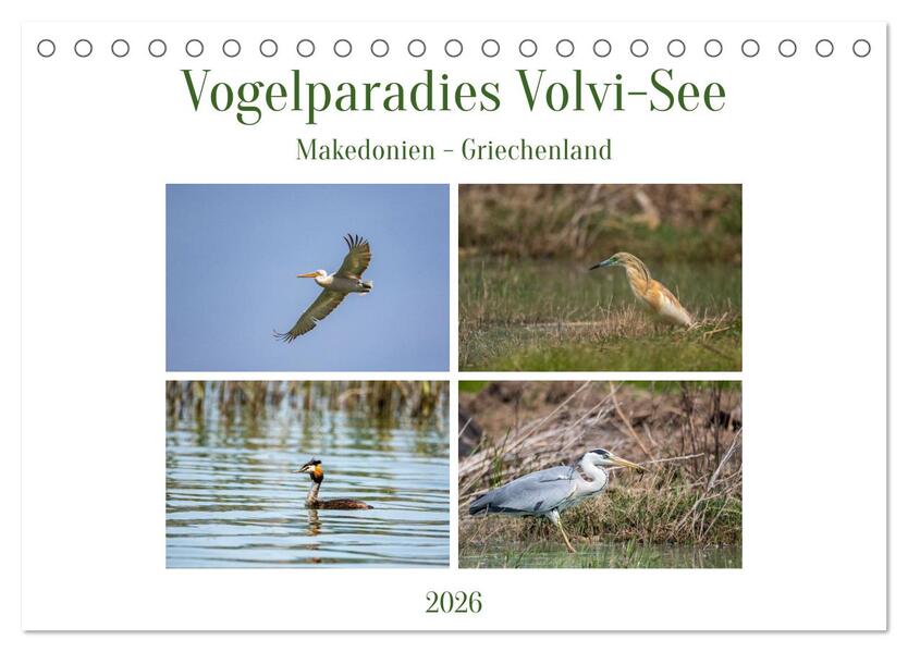 Vogelparadies Volvi-See (Tischkalender 2026 DIN A5 quer) CALVENDO Monatskalender
