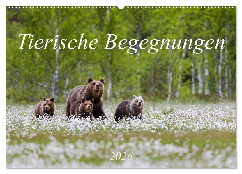 Tierische Begegnungen (Wandkalender 2026 DIN A2 quer) CALVENDO Monatskalender