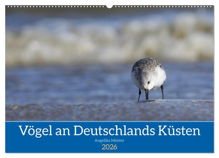 Vögel an Deutschlands Küsten (Wandkalender 2026 DIN A2 quer) CALVENDO Monatskalender