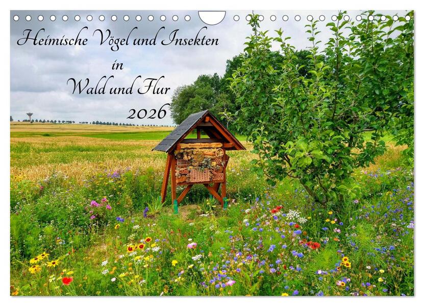 Heimische Vögel und Insekten in Wald und Flur (Wandkalender 2026 DIN A4 quer) CALVENDO Monatskalender