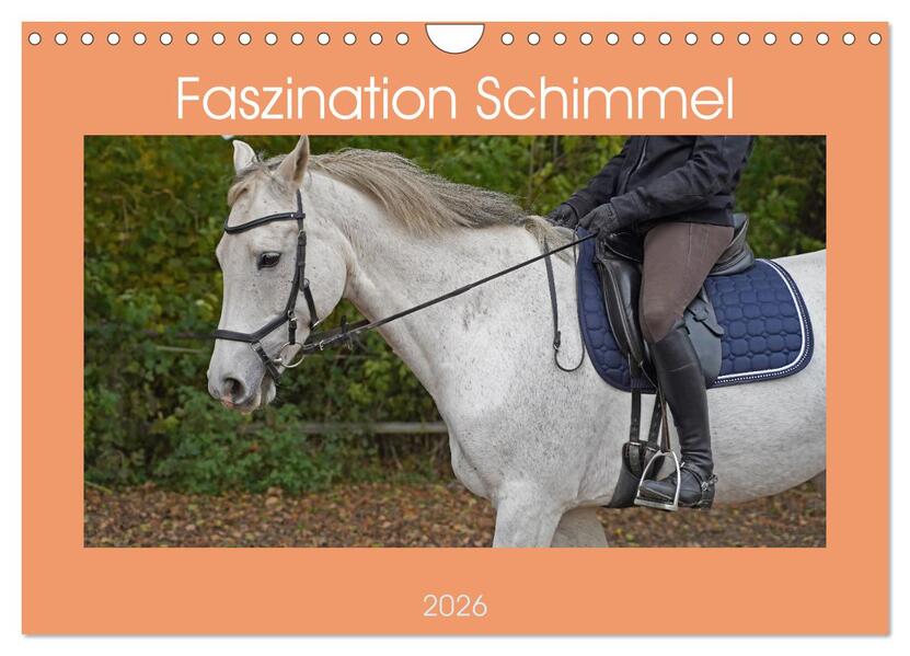 Faszination Schimmel (Wandkalender 2026 DIN A4 quer) CALVENDO Monatskalender