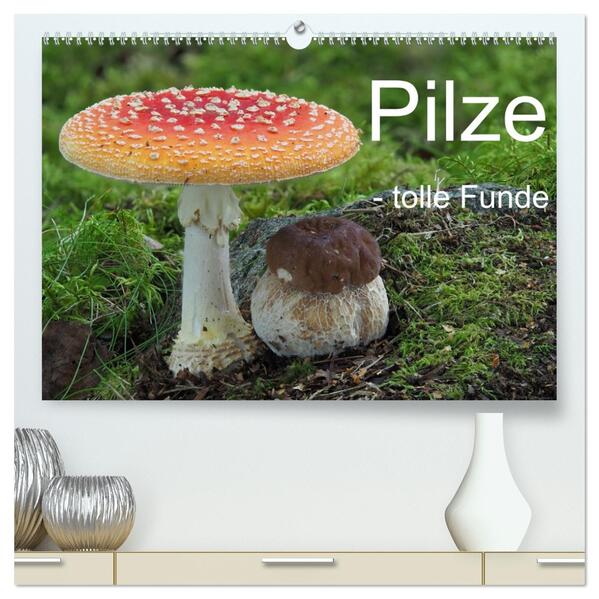 Pilze - tolle Funde (hochwertiger Premium Wandkalender 2026 DIN A2 quer) Kunstdruck in Hochglanz