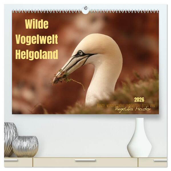Wilde Vogelwelt Helgoland (hochwertiger Premium Wandkalender 2026 DIN A2 quer) Kunstdruck in Hochglanz
